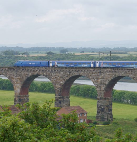 Travel Policies That Rule Out Domestic Aviation