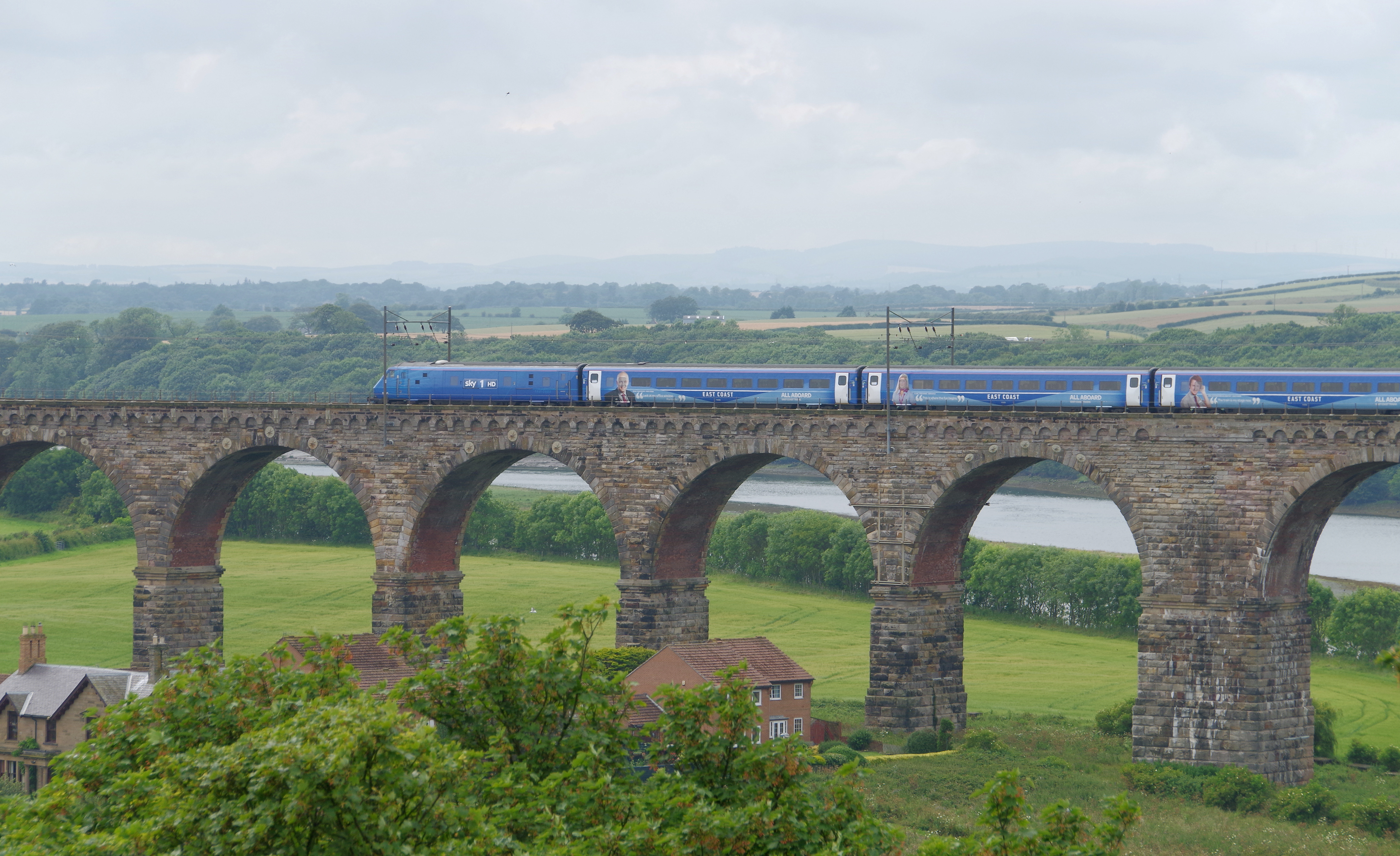 Travel Policies That Rule Out Domestic Aviation