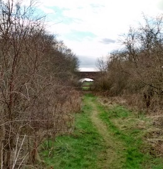 Reconnect Dumfries to the West Coast Line